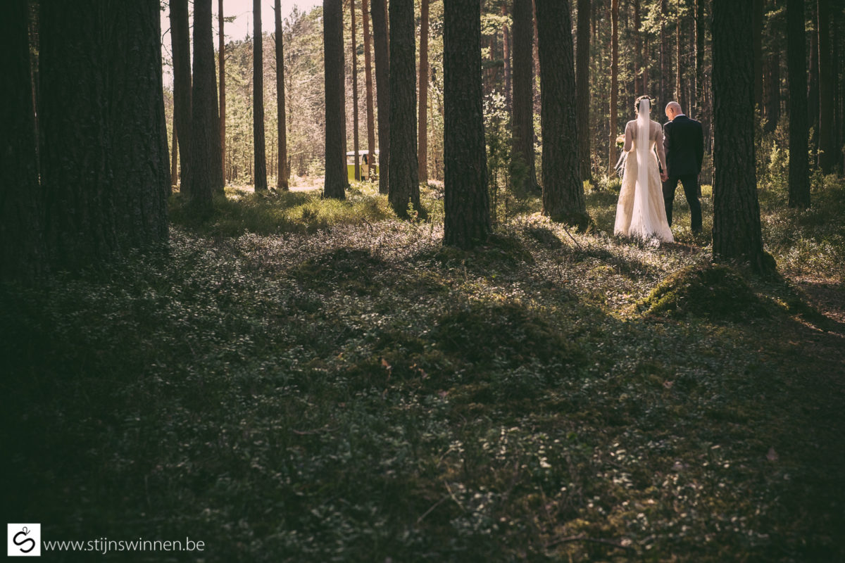 Wedding of Ieva and Janis - forest shoot in Lavtvia